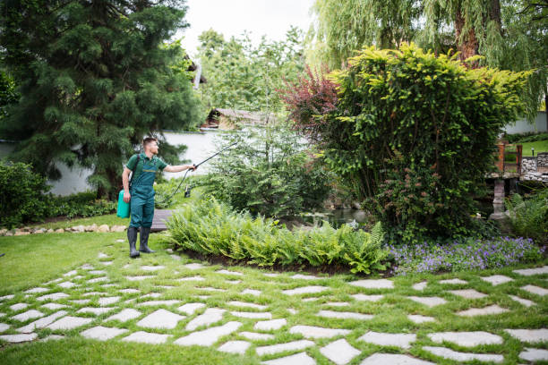 Best Local Pest Control Services  in Great Notch, NJ