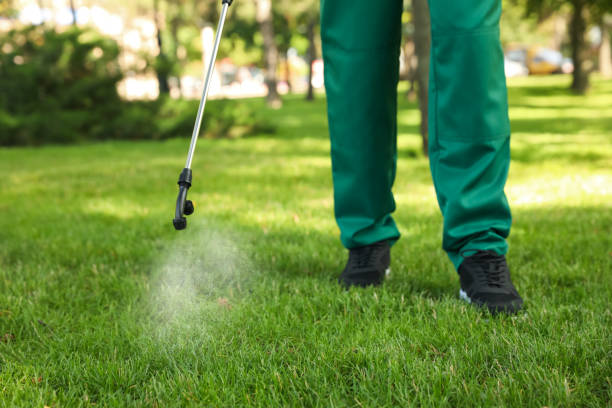 Best Affordable Pest Control Services  in Great Notch, NJ