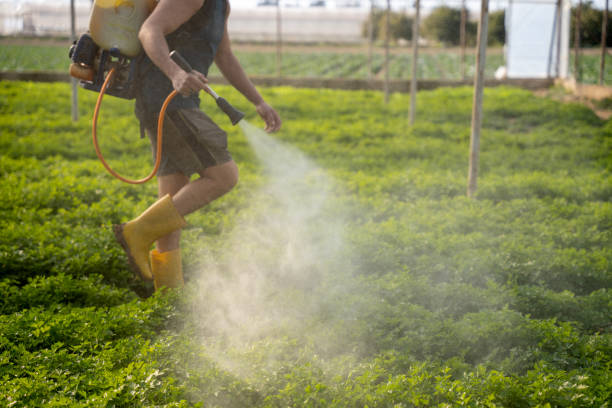 Best Pest Removal Services  in Great Notch, NJ