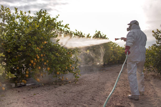 Best Pest Control Near Me in Great Notch, NJ