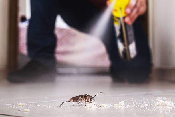 Best Mosquito Control Services  in Great Notch, NJ