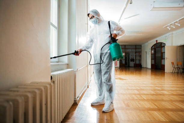 Best Wasp Removal Services  in Great Notch, NJ