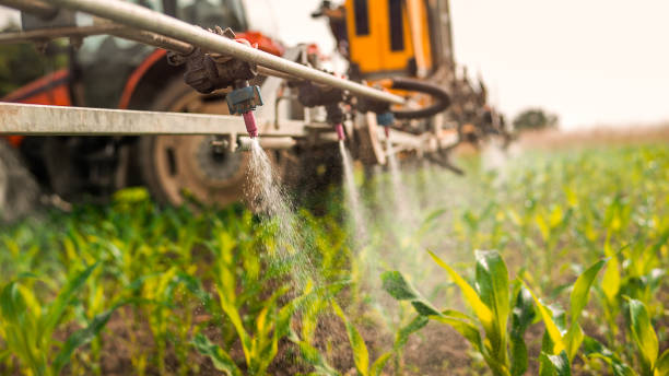 Best Commercial Pest Control Services  in Great Notch, NJ
